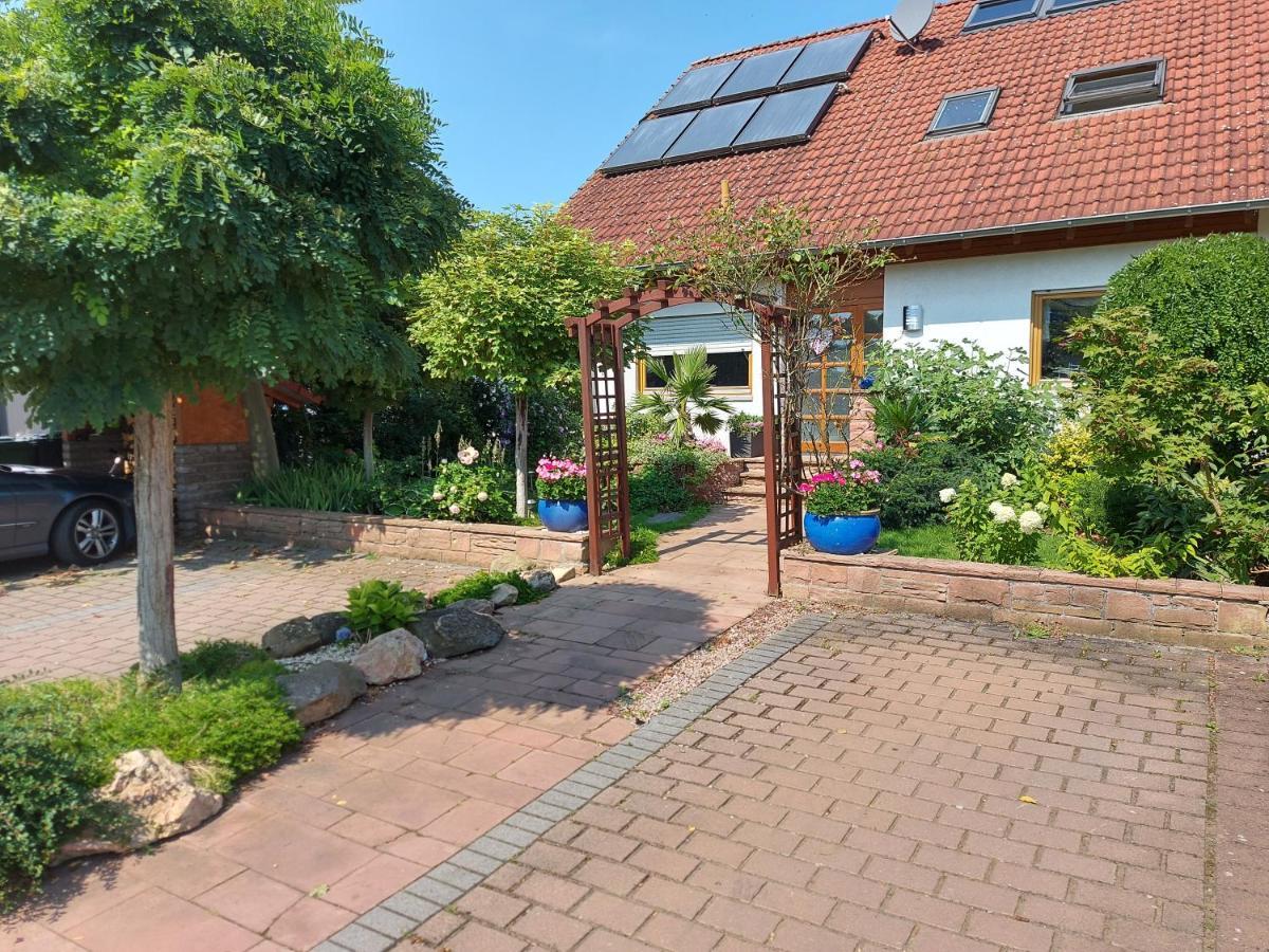 Apartment De Luxe 73 Qm Mit 3 Zimmer Und Terrasse Einhausen  Екстер'єр фото